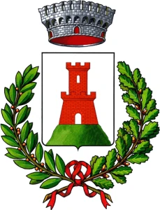 Viola