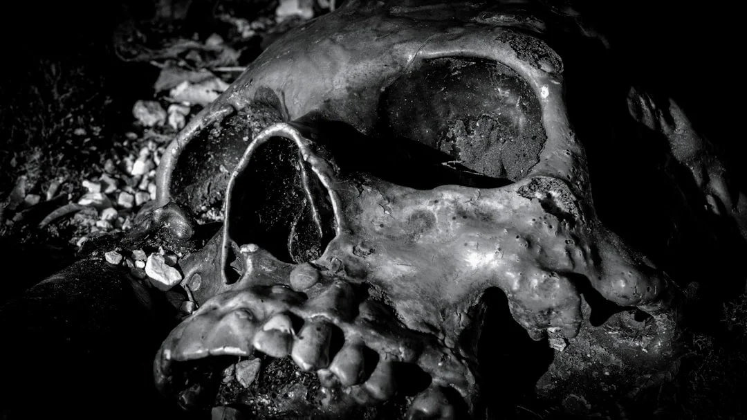 Museo del Black Death di Montella (AV) - sulla peste nera