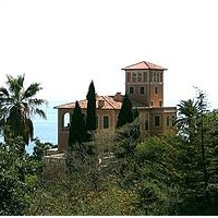 Cervo