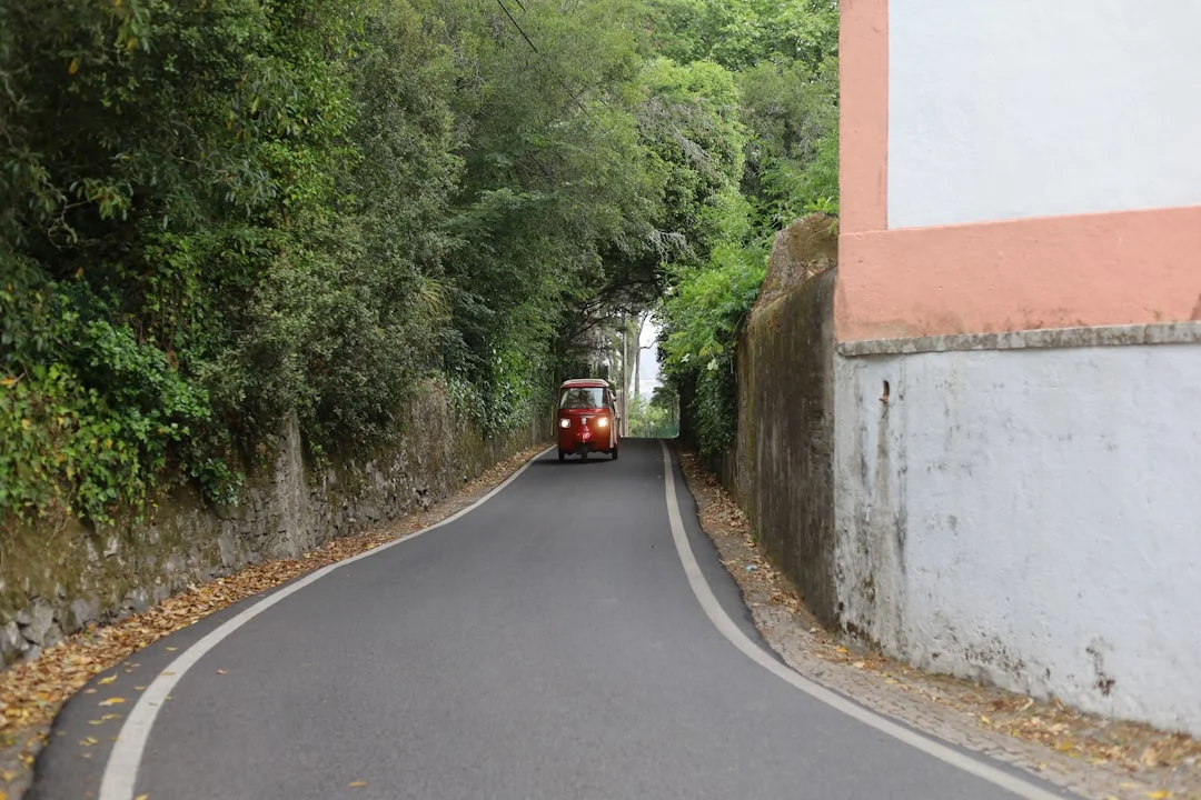 Minervino Murge