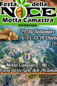 Messina baobab_10583.jpg