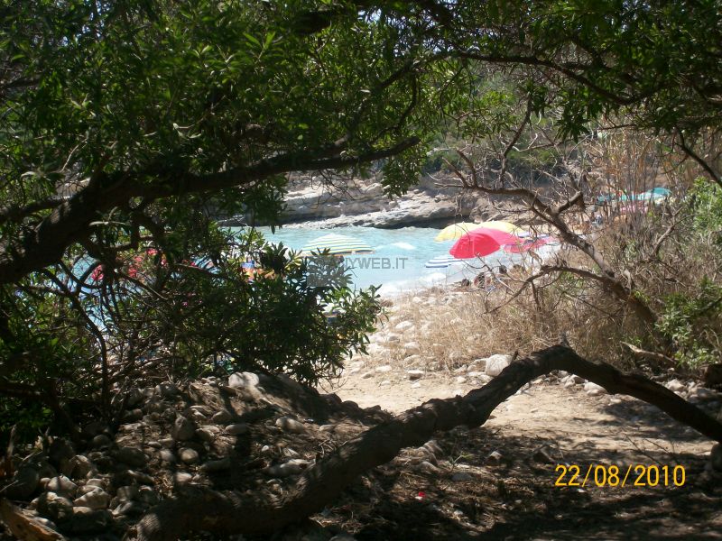 Siracusa baobab_10092.jpg