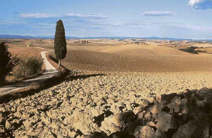 Siena COLLIVERDI_1934.jpg