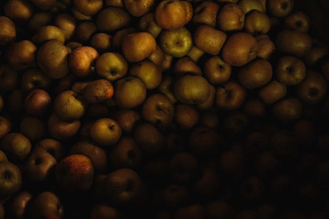 Frantoi Aperti (novembre, degustazione olio nuovo)
