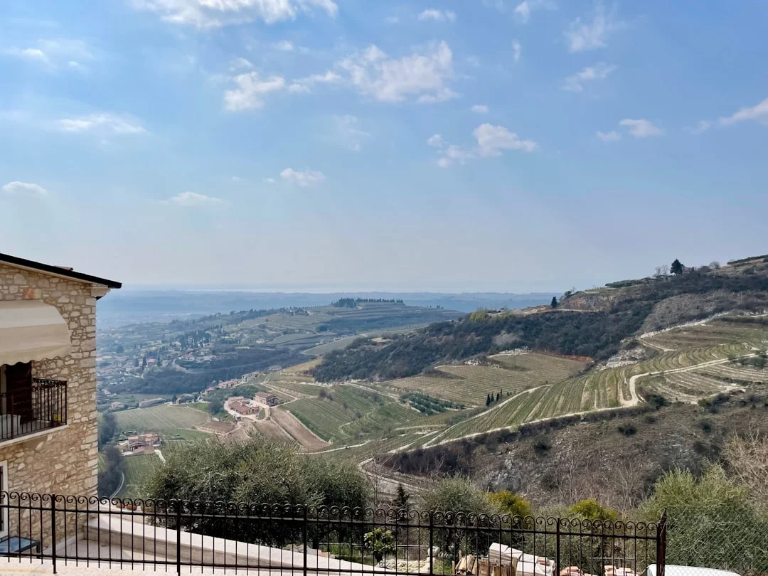 Valpolicella