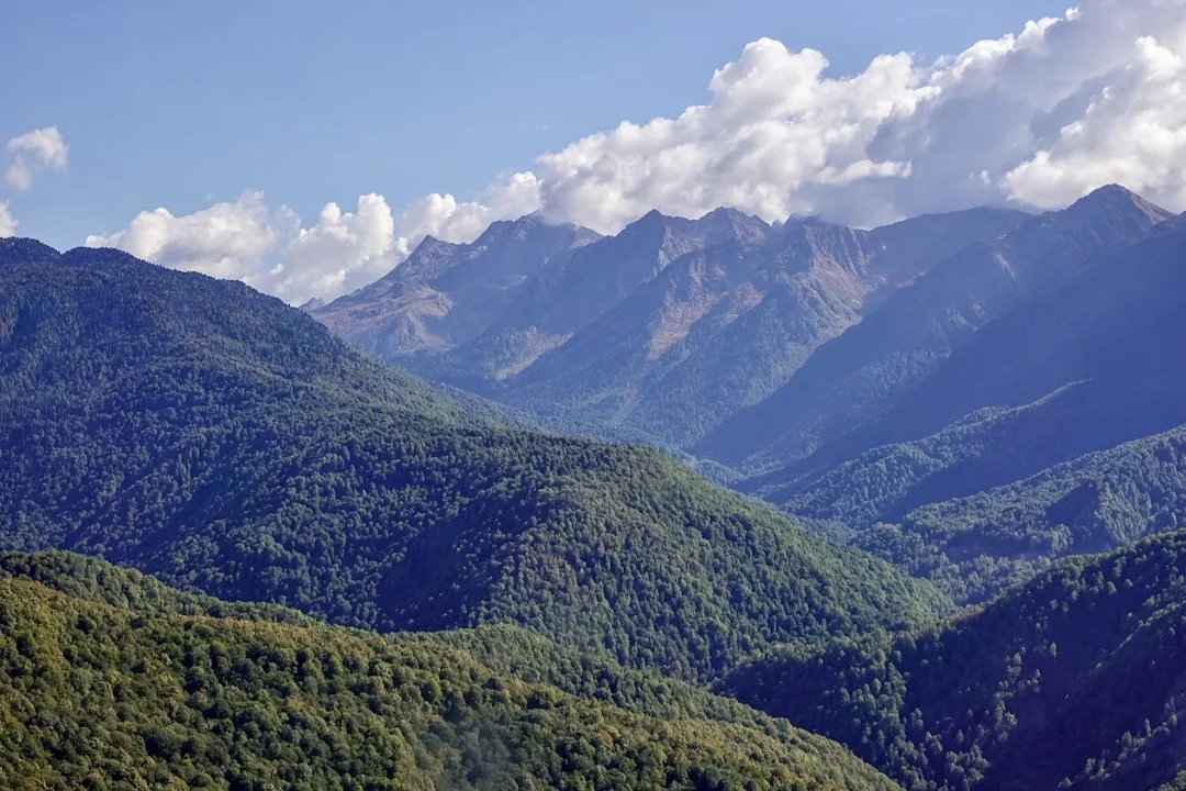 Comune di Riserva Naturale Orientata Monte Bondone - Trento
