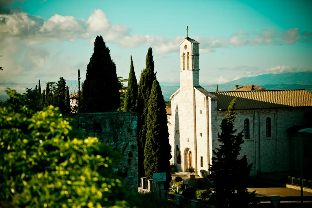 Umbria carnevale-di-assisi.webp